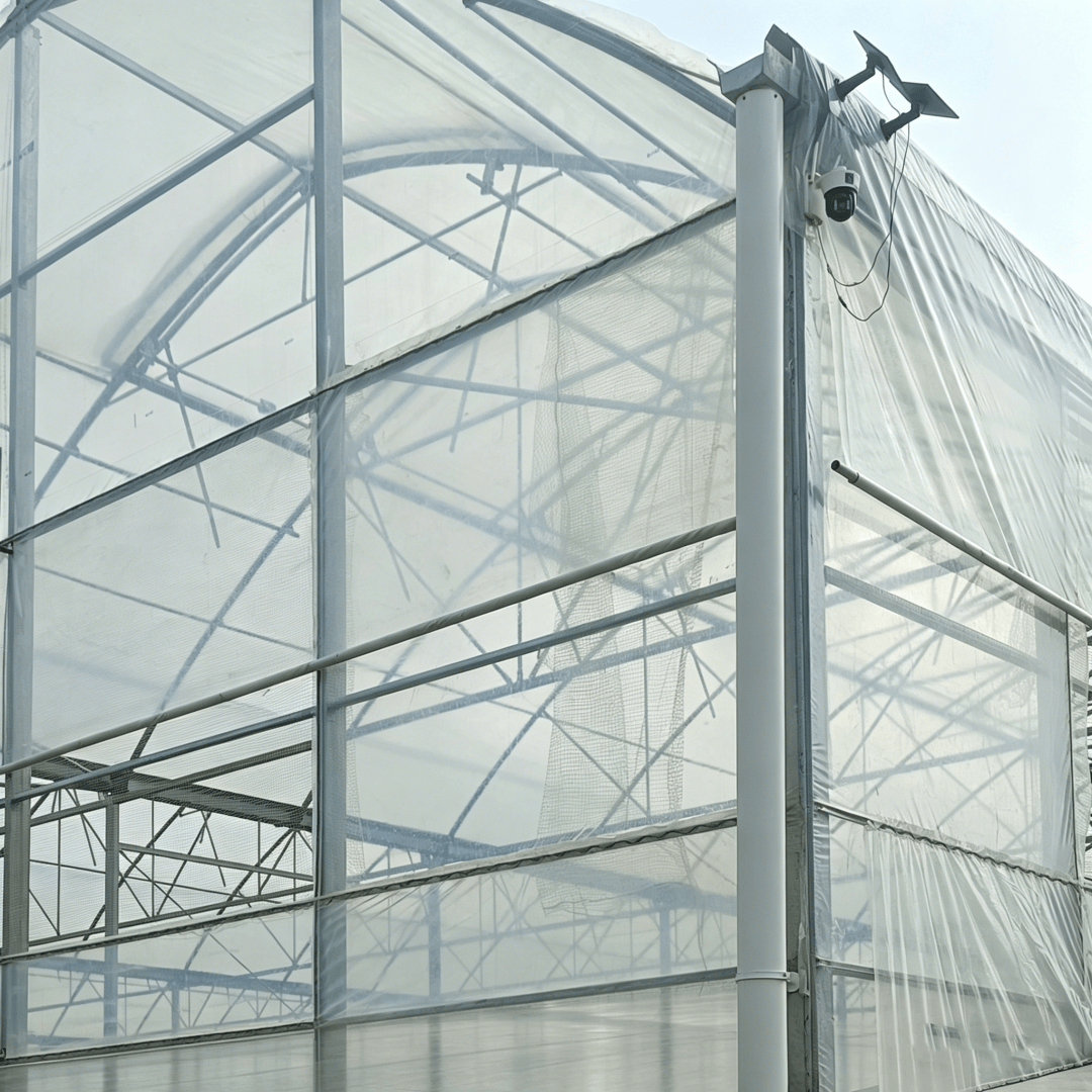 hydroponic greenhouse film (6)