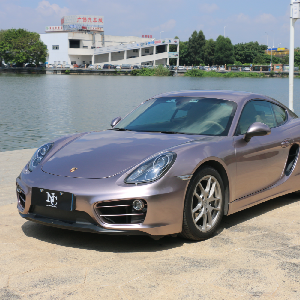 Frozen Berry paint wrap vinyl