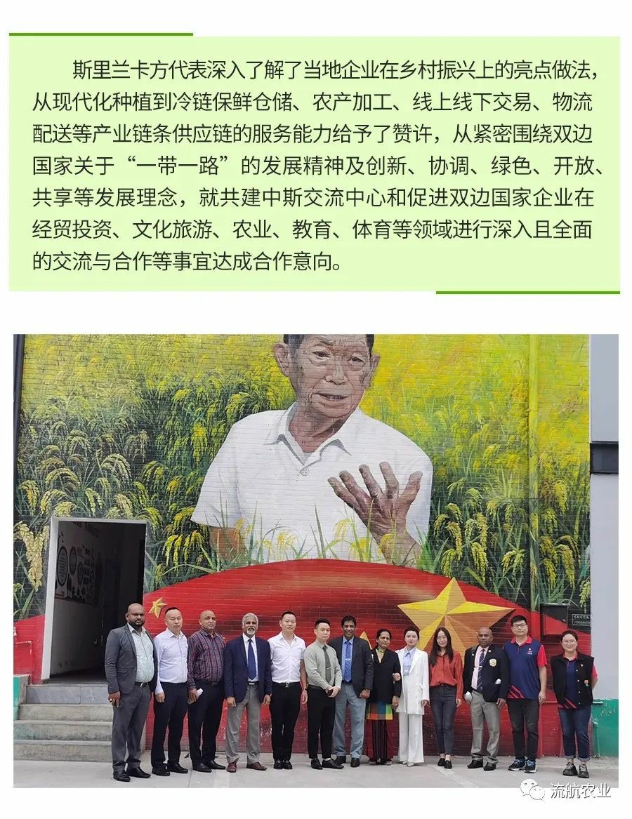 Pepper planting base