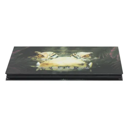 Eye shadow beauty makeup sets