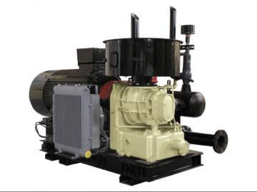 Oil Free Screw Compressor 40m3/Min 4bar
