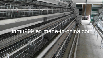 Jinfeng Automated Broile Farming Cage