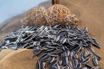 RONG DA SUNFLOWER SEED 601