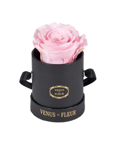 Small Flower Box Mini Cylinder Flower Box