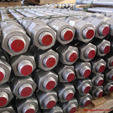 ASTM F1554 Grade 105 Anchor Bolt with Nuts