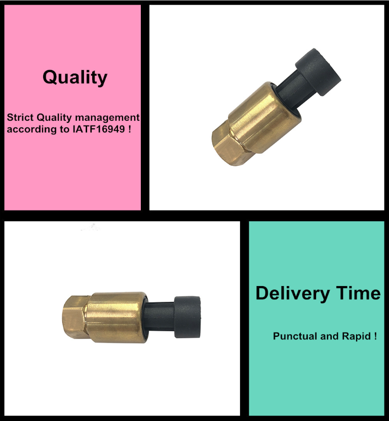 Pressure sensor for petrochemical industry