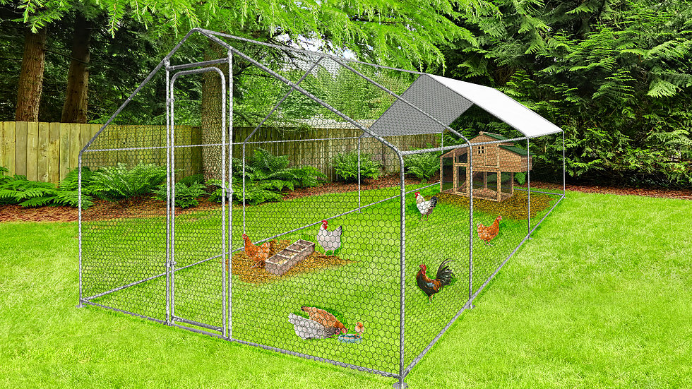 chicken coop