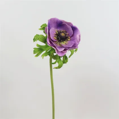 Artificial Anemone Flower Branch for Home Decor