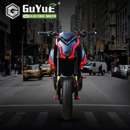 Fat Tire Electric Motorcycle