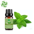 High quality Mentha Piperita essential oil Peppermint oil