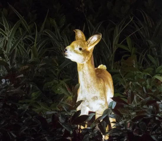 Simulated Antelope C Lights