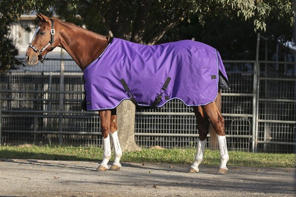 Produits de protection Couverture de participation à cheval lourd