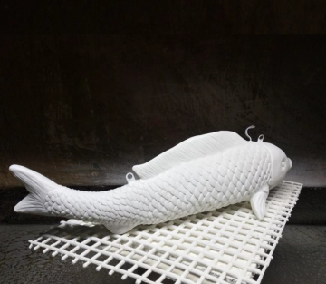 Simulation Fish B Lights