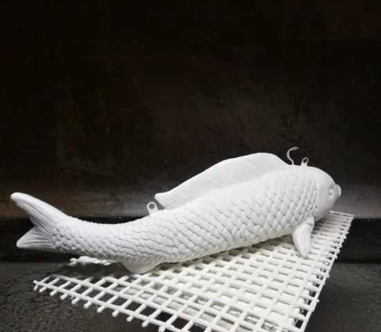 Simulation Fish B Lights