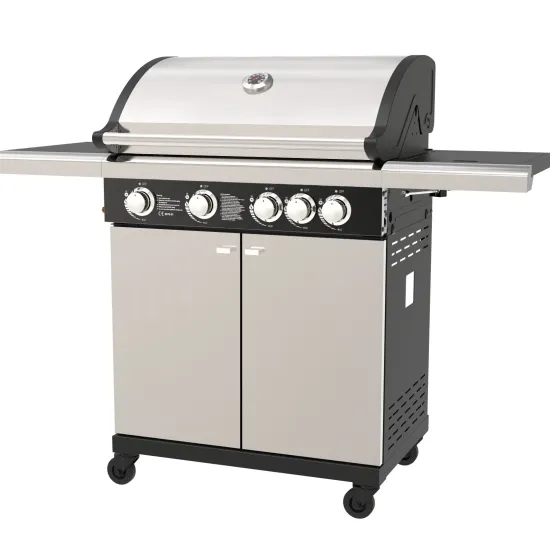 Outdoor Stainless Steel Gas BBQ Grill with Casters and Brake