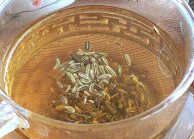 Fennel Extract Supplier