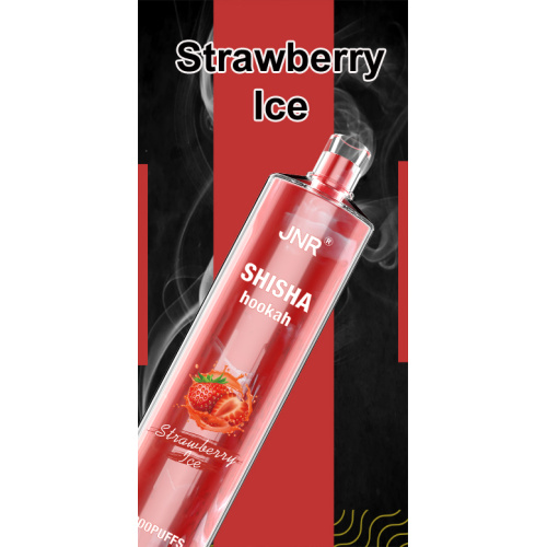 JNR Shisha Hookah 12000 Puffs Disposable Vape Juice Liquid