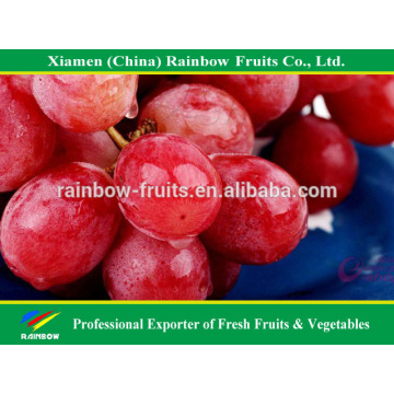 Yunnan Red globe grape fresh fruit of red grape Xinjiang Red grape from China import export companies pune