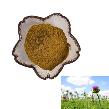 liver protection products silybum marianum extract silymarin milk thistle extract seed powder