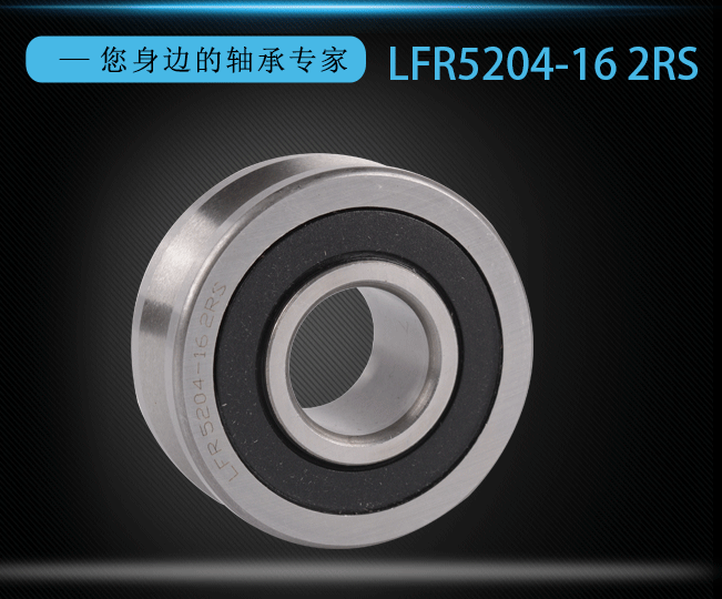 Double Row Angular Contact Ball Bearing LFR 5204