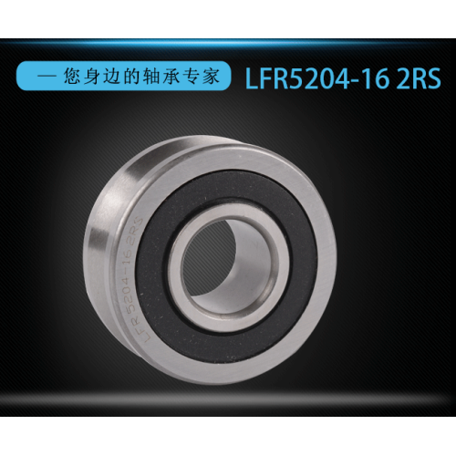 Double Row Angular Contact Ball Bearing LFR 5204