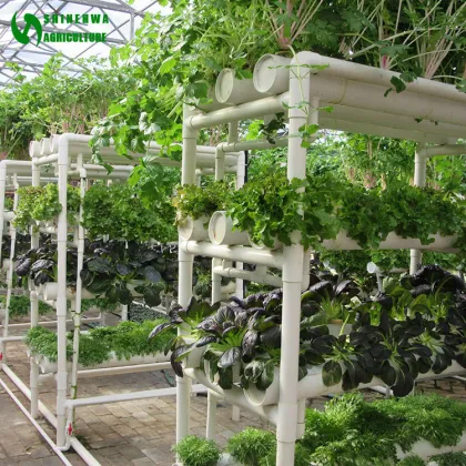 Vertical NFT PVC Pipe Commercial Hydroponics Greenhouse