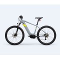 Aluguel de Ebike personalizado São Francisco