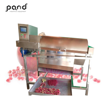 304 Stainless Steel Automatic Pomegranate Deseeder Machine