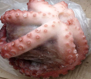 냉동 해산물 문어 과학적 이름