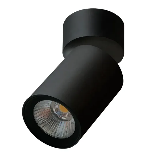 Shoes Shop Rail Spotlight: COB LED Track Light 8W/12W Ceiling Down Light for Clothing Store