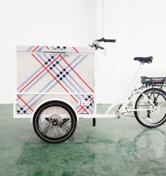 Carrello triciclo di gelato elettrico con motore da 250 W 36V e bici da congelatore da 200 litri