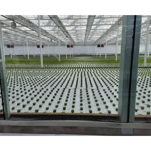 Multi-Crop Seedling Greenhouse