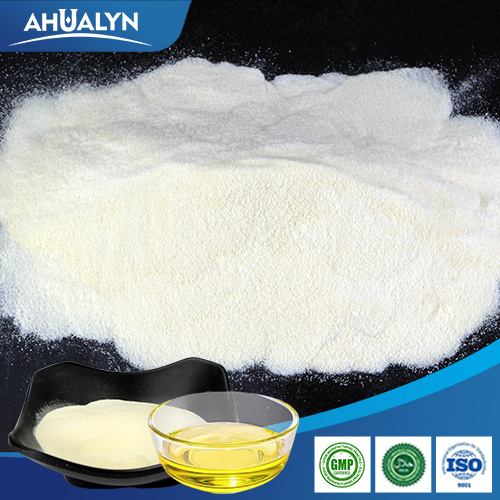 Health Ingredients GMP standard Docosahexaenoic Aicd DHA Algae Oil Powder Manufactory