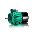 Moteur asynchrone triphasé YE4
