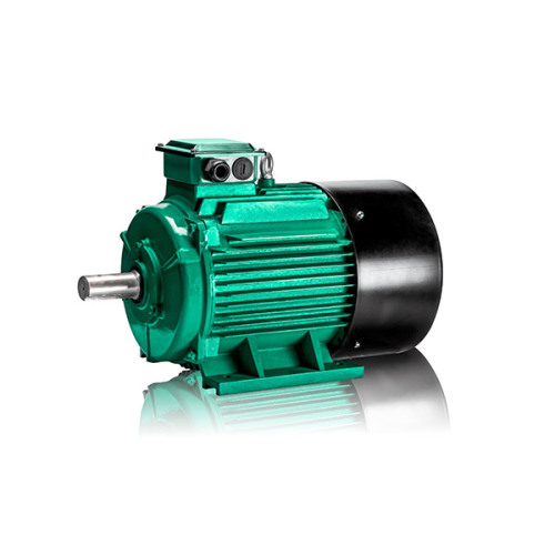 Motor asíncrono trifásico YE4