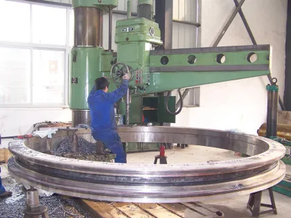 SD.505.20.00.C ina slewing bearing Port crane