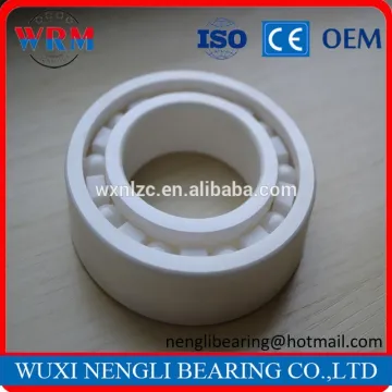 6901 2rs ceramic ball type bearing
