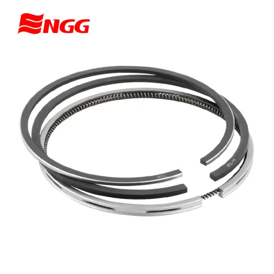 Piston Rings for Hyundai Tucson 2.0L G4GC (23040-23300)