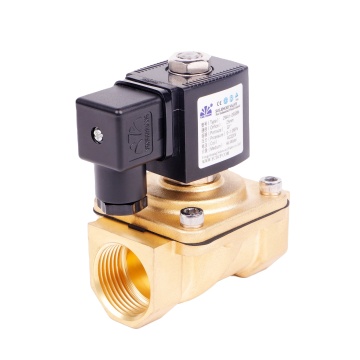 Yongchuang 2W41 Direct Acting Lifting Diaphragm Brass Stainless Steel Solenoid Valve for Fire Control Systems