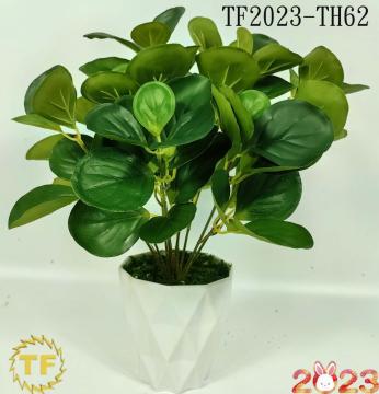 36cm Round leaf pepper grass x 10 branch x 84 leaves with plastic Pot