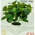 /msite/products/detail/productid/62998014/id/1504288.html