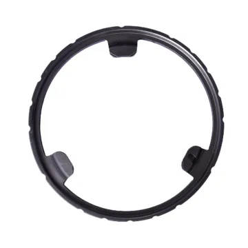 Auto Parts Gearbox Transmission Synchronizer Ring OEM 389 262 0737