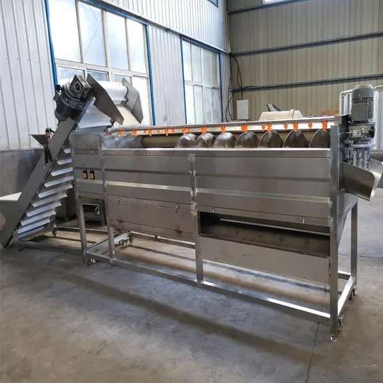 Automated Fruit Processing Line: Multi-functional Machine for Pumpkin Washing and Peeling