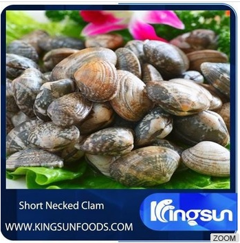 Frozen Clams with Shell