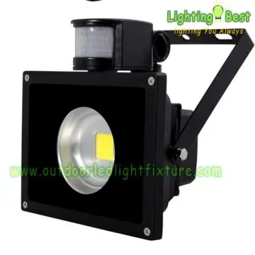 Induction Lamp Floodlight 40w 50w