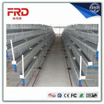 Trade assurance 100% payment guarantee factory supply A type layer chicken cage for bangladesh