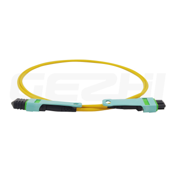 Factory Customization OS2 MPO Fiber Optic Patch Cord - Male or Female