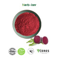 Organic beet root extract beet root juice powder