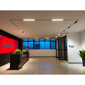 Smart Dali Zigbee Controllable LED Rail Lighting for Home & Mall