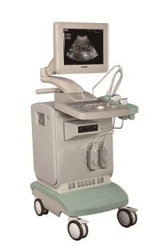 Full-Digital Ultrasound Diagnostic System (Am-280)